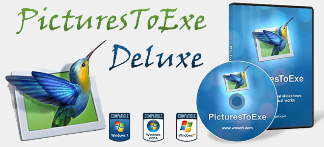 PicturesToExe Deluxe 8.0.20