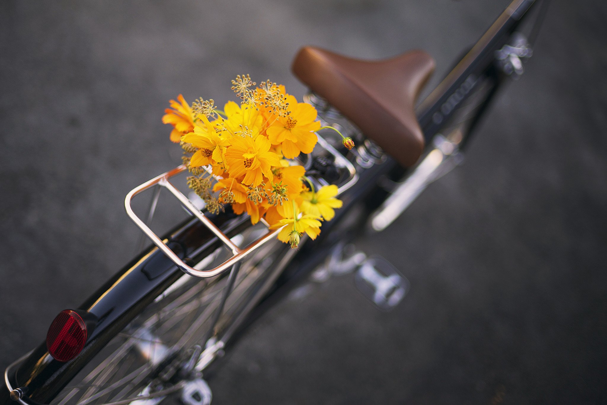 Прощай лето красное до следующего. Велосипед с цветами. Желтый велосипед с цветами. Весенние букеты в велосипедах. Лето, Прощай.