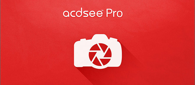 Скачать ACDSee Pro 10.3 русская версия