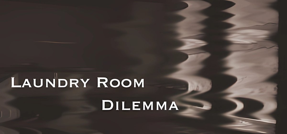 Laundry Room Dilemma Build 17136921