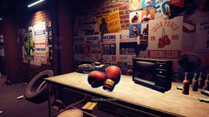 sports renovations_scr3