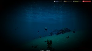 u_n_p_o_c_ vessel of opportunity_scr3