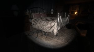 the echo paradox_scr3