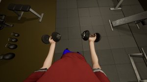 gym simulator_scr2