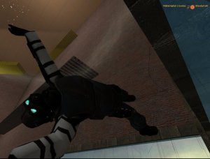 half life 2 deathmatch_scr4