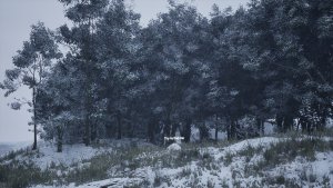 stone simulator_scr1