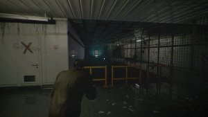 den pain_scr3