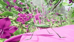 nature and life drunk on nectar_scr1