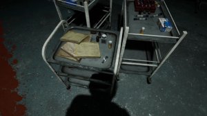 cursed hospital_scr4