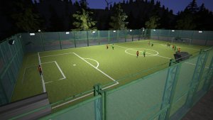 football pitch simulator_scr2