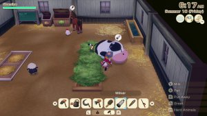 story of seasons grand bazaar_scr2