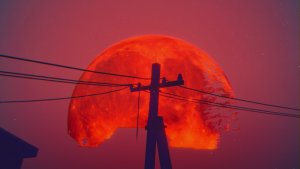 violent horror stories 2_scr2